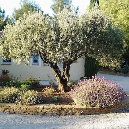 Maison Privee Au Calme Dans Mas Provencal Villa Sanary-sur-Mer Eksteriør bilde