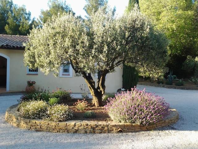 Maison Privee Au Calme Dans Mas Provencal Villa Sanary-sur-Mer Eksteriør bilde